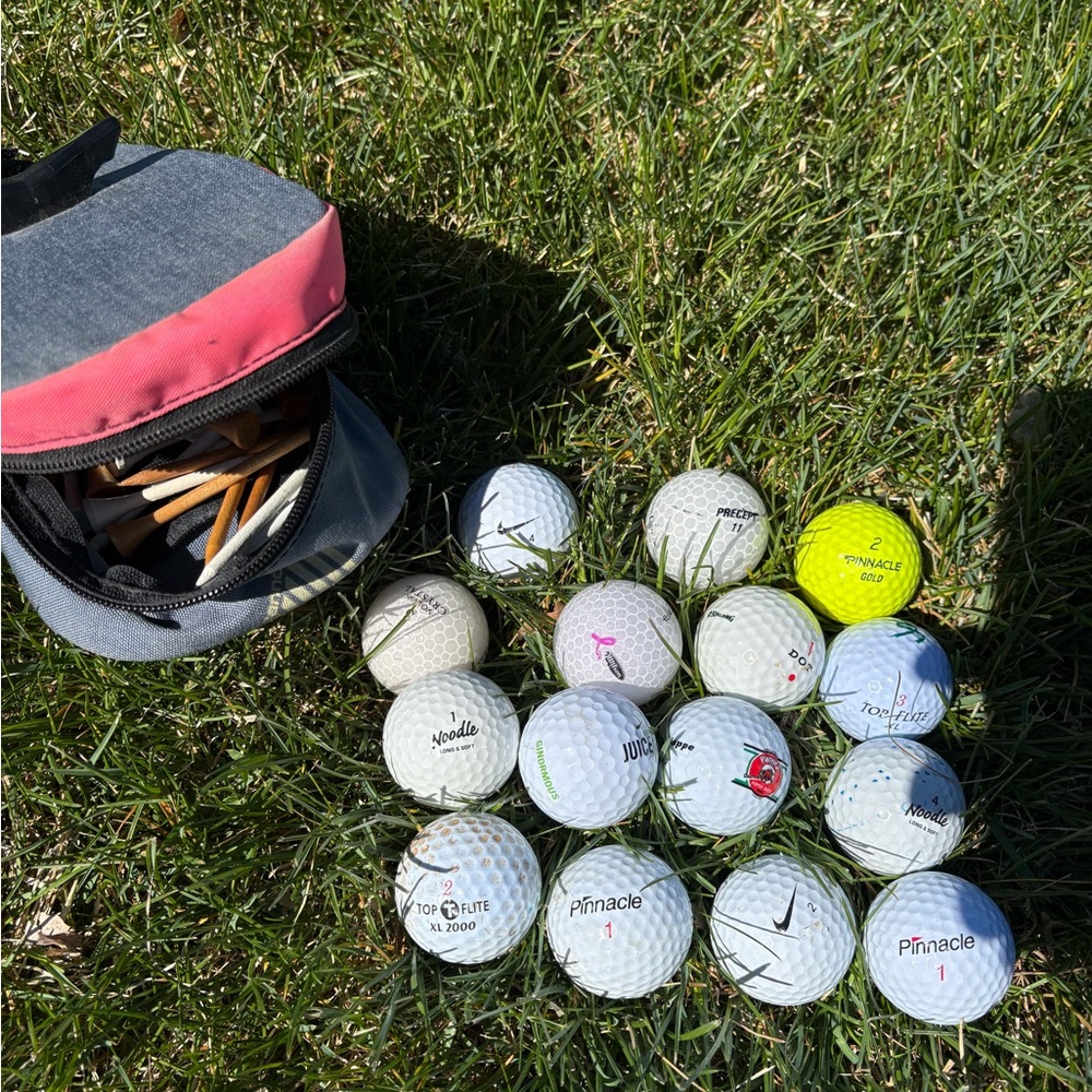 Assorted Golf Balls with Carry Pouch